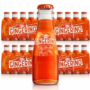 Recoaro Gingerino - 40 x 10cl